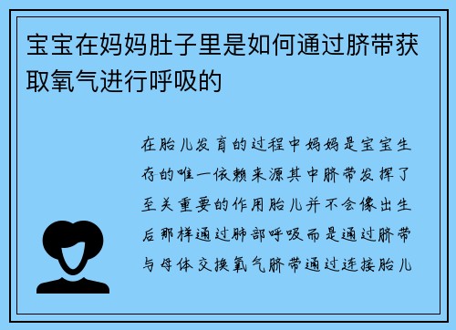 宝宝在妈妈肚子里是如何通过脐带获取氧气进行呼吸的